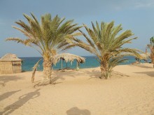 Aussicht Bungalow Big Dune
