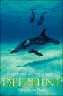 Delphine, Freunde im Meer