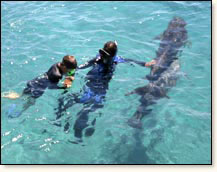 Kind bei Delphin unterstützter Therapie