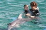 Dolphin Therapy in Eilat -  Israel