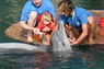 Dolphin Therapy in Eilat -  Israel