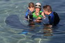 Dolphin Therapy in Eilat -  Israel