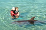 Dolphin Therapy in Eilat -  Israel