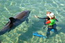 Dolphin Therapy in Eilat -  Israel