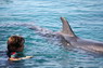 Dolphin Therapy in Eilat -  Israel