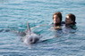 Dolphin Therapy in Eilat -  Israel