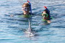 Dolphin Therapy in Eilat -  Israel