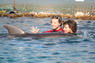 Dolphin Therapy in Eilat -  Israel
