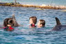 Dolphin Therapy in Eilat -  Israel