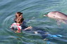 Dolphin Therapy in Eilat -  Israel