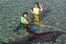 Dolphin Therapy in Eilat -  Israel