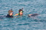 Dolphin Therapy in Eilat -  Israel