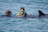 Dolphin Therapy in Eilat -  Israel