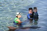 Dolphin Therapy in Eilat -  Israel