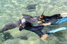 Dolphin Therapy in Eilat -  Israel