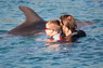 Dolphin Therapy in Eilat -  Israel