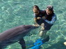 Dolphin Therapy in Eilat -  Israel