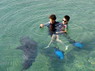 Dolphin Therapy in Eilat -  Israel