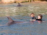 Dolphin Therapy in Eilat -  Israel