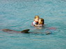 Dolphin Therapy in Eilat -  Israel
