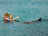 Dolphin Therapy in Eilat -  Israel