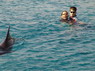 Dolphin Therapy in Eilat -  Israel