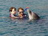 Dolphin Therapy in Eilat -  Israel