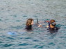Dolphin Therapy in Eilat -  Israel