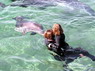 Dolphin Therapy in Eilat -  Israel