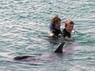 Dolphin Therapy in Eilat -  Israel
