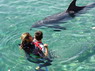 Dolphin Therapy in Eilat -  Israel