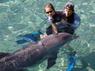 Dolphin Therapy in Eilat -  Israel