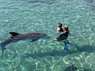 Dolphin Therapy in Eilat -  Israel