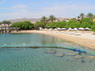 Dolphin Therapy in Eilat -  Israel