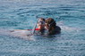 Dolphin Therapy in Eilat -  Israel