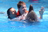 Dolphins in Sharm el Sheikh -  Sinai