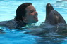 Dolphins in Sharm el Sheikh -  Sinai