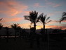 Bilder vom Hilton Coral Resort Nuweiba