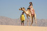 Kamel Reiten Nuweiba
