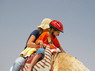Kamel Reiten Nuweiba