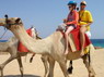 Kamel Reiten Nuweiba